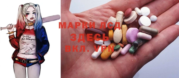 гашик Россошь