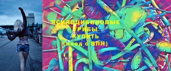 гидра Арсеньев