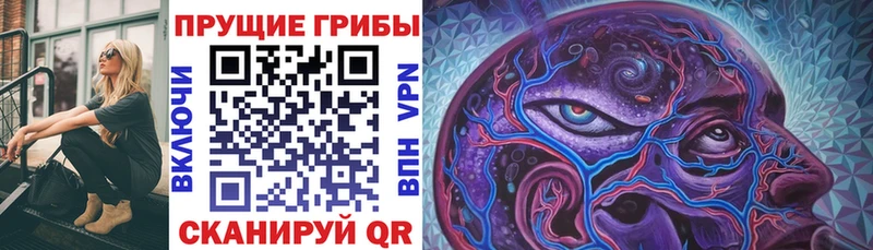 Псилоцибиновые грибы мухоморы  наркота  Щёлкино 